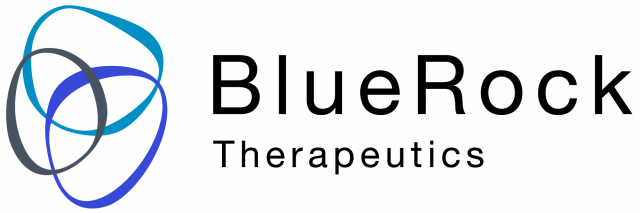 Sarah Sperling Bluerock Logo Rgb 02